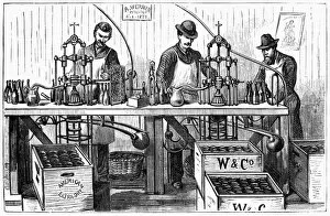 Winemaker Gallery: NEW YORK: WINE INDUSTRY. Werner and Company employees bottling champagne in New York City