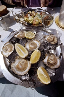 Oysters served at a restaurant on the Croisette at Cannes, France Oysters served at a restaurant on the Croisette at Cannes, France