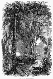 PANAMA RAILWAY, 1875. View on the Panama Railroad. Wood engraving, English, c1875 PANAMA RAILWAY, 1875. View on the Panama Railroad. Wood engraving, English, c1875
