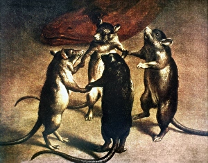 PLAGUE: DANCE OF THE RATS. Rats dancing at the time of the plague. Oil on canvas, c1800 PLAGUE: DANCE OF THE RATS. Rats dancing at the time of the plague. Oil on canvas, c1800