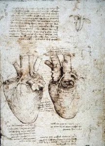Leonardo Da Vinci Prints: Print of an ox heart study by Leonardo da Vinci in pen and ink