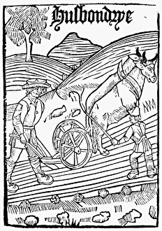 PLOUGHING, 1523. Woodcut title-page of the first book on agriculture printed in England PLOUGHING, 1523. Woodcut title-page of the first book on agriculture printed in England