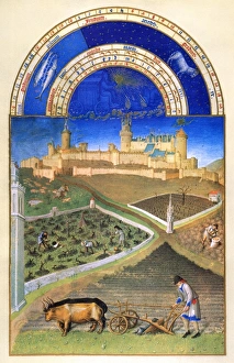 Plowing with oxen and pruning vines in March. Illumination from the 15th century Plowing with oxen and pruning vines in March. Illumination from the 15th century