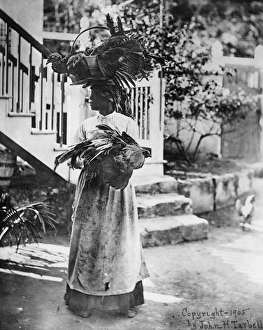 PORTRAIT: WOMAN. An African American woman carrying chickens and turkeys to market PORTRAIT: WOMAN. An African American woman carrying chickens and turkeys to market