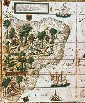 PORTUGUESE MAP OF BRAZIL. Between the Amazon River and the Rio de la Plata, 1519