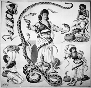 Related Images Gallery: POSTER: SNAKE CHARMERS. American circus poster, 1892