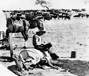 WILL ROGERS (1879-1935). American humorist. Rogers typing on a typewriter on a cattle ranch WILL ROGERS (1879-1935). American humorist. Rogers typing on a typewriter on a cattle ranch