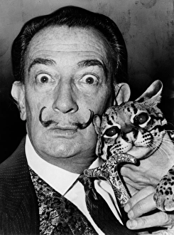 Roger Gallery: SALVADOR DALI (1904-1989). Spanish painter. Photographed with his pet ocelot, Babou