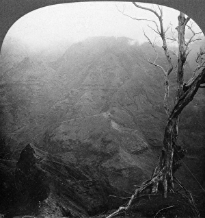 SAMOA: MOUNT VAEA, c1900. View of Mount Vaea in Samoa, near the grave of Robert Louis SAMOA: MOUNT VAEA, c1900. View of Mount Vaea in Samoa, near the grave of Robert Louis