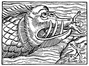 <b class=qtipBold><figcaption>SEA MONSTER. Medieval woodcut</figcaption></b><br>SEA MONSTER. Medieval woodcut.<br><em>© none</em> SEA MONSTER. Medieval woodcut
