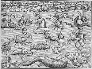 Reindeer Gallery: SEA MONSTERS, 1550. Sea monsters inhabiting the north Atlantic and animals found