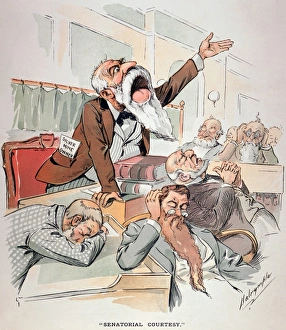 SENATE CARTOON, FREE SILVER. Senatorial Courtesy. U.S. Senator making an impassioned SENATE CARTOON, FREE SILVER. Senatorial Courtesy. U.S. Senator making an impassioned