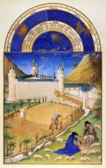 Shearing sheep and reaping wheat in July: illumination from the 15th century manuscript Shearing sheep and reaping wheat in July: illumination from the 15th century manuscript