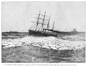 SHIP: LA CHAMPAGNE, 1890. The passenger ship, 'La Champagne,' passing through ice SHIP: LA CHAMPAGNE, 1890. The passenger ship, 'La Champagne,' passing through ice