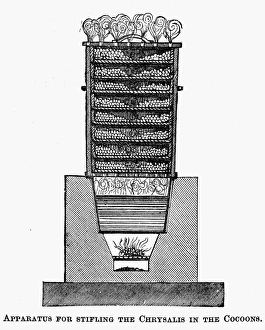 SILK PRODUCTION. Apparatus used for stifling the chrysalis in the cocoons of the silkworm SILK PRODUCTION. Apparatus used for stifling the chrysalis in the cocoons of the silkworm