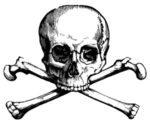 <b class=qtipBold><figcaption>Skull and Crossbones</figcaption></b><br>Skull and Crossbones.<br><em>© none</em> Skull and Crossbones