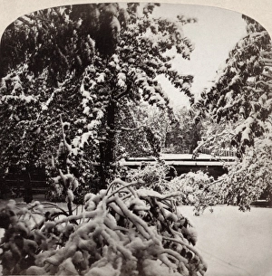 SNOWSTORM, 1862. View of a snowstorm in October. Photograph by Frederick Ferris Thompson SNOWSTORM, 1862. View of a snowstorm in October. Photograph by Frederick Ferris Thompson