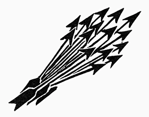 SYMBOL: UNITY. Bundle of arrows, a symbol of unity SYMBOL: UNITY. Bundle of arrows, a symbol of unity