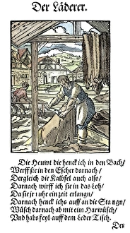 TANNER, 1568. Woodcut, 1568, by Jost Amman TANNER, 1568. Woodcut, 1568, by Jost Amman