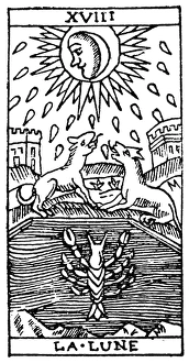 TAROT CARD: THE MOON. The Moon (Disappointment). Woodcut, French, 16th century TAROT CARD: THE MOON. The Moon (Disappointment). Woodcut, French, 16th century