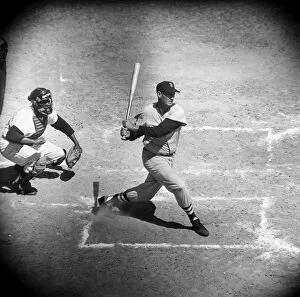 African American Gallery: TED WILLIAMS (1918-2002). Theodore Samuel Williams. American baseball player