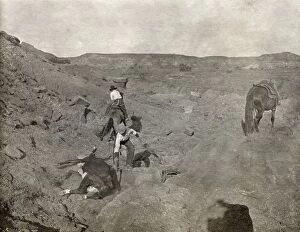 TEXAS: COWBOYS, c1907. Two cowboys pulling a cow lying on its side from a gully in Texas