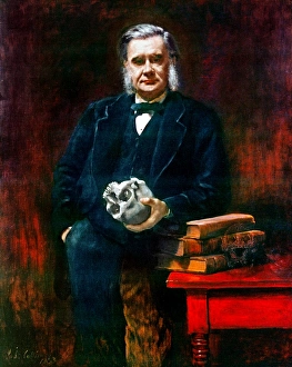 THOMAS HENRY HUXLEY (1825-1895). English biologist THOMAS HENRY HUXLEY (1825-1895). English biologist