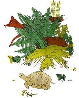 The Tortoise and the Hare. Watercolor by Christopher Sanders depicting Aesops fable The Tortoise and the Hare. Watercolor by Christopher Sanders depicting Aesops fable