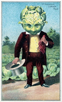 TRADE CARD, c1887. 1st premium cabbage head. Trade card published by J.H. Bufford TRADE CARD, c1887. 1st premium cabbage head. Trade card published by J.H. Bufford