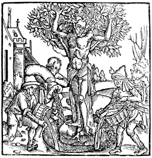 TREE OF LIFE. Yggdrasil in Norse-Teutonic mythology TREE OF LIFE. Yggdrasil in Norse-Teutonic mythology