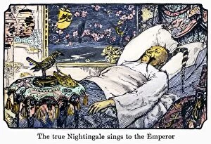 The true nightingale sings to the Emperor. Drawing by Henry J. Ford for an 1894 edition of the fairy tale The