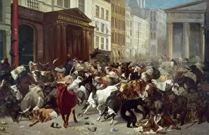 Panic Gallery: WALL STREET: BEARS & BULLS. Bulls and Bears in the Market. An allegorical painting by William H