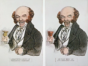 Whig placards of the 1840 Presidential campaign showing the Democratic incumbent Martin Whig placards of the 1840 Presidential campaign showing the Democratic incumbent Martin