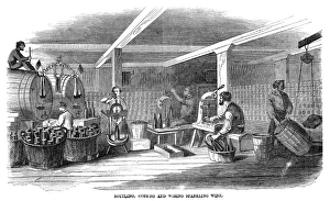 WINEMAKING: BOTTLING, 1866. Bottling, corking and wiring sparkling wine at the WINEMAKING: BOTTLING, 1866. Bottling, corking and wiring sparkling wine at the