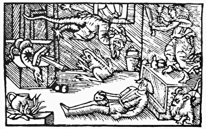 WITCH AND DEMONS, 1555. A witch conjuring up demons WITCH AND DEMONS, 1555. A witch conjuring up demons