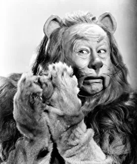 Images Dated 4th December 2009: WIZARD OF OZ, 1939. Bert Lahr as the Cowardly Lion in the 1939 MGM production of The Wizard of Oz