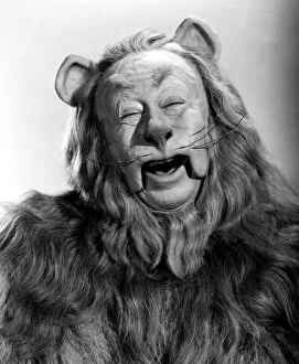 1930s Gallery: WIZARD OF OZ, 1939. Bert Lahr as the Cowardly Lion in the 1939 MGM production of The Wizard of Oz