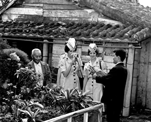 WOMEN MARINES, 1967. Takeo Yemnshiro, a civilian employee at the Futenma Marine WOMEN MARINES, 1967. Takeo Yemnshiro, a civilian employee at the Futenma Marine