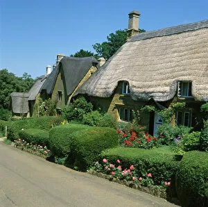 Images Dated 11th May 2012: GREAT TEW