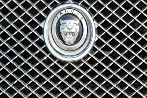 Images Dated 20th April 2011: Jaguar