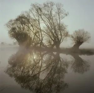 Prints of Early Morning on the River Thames Near Oxford Oxford Prints: The Thames at Oxford Early Morning Print
