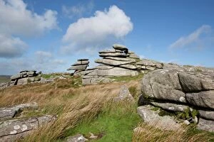 Images Dated 16th October 2013: Windswept stones on Bodmin Moor
