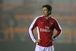 Images Dated 16th December 2008: Aaron Ramsey (Arsenal)