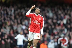 Images Dated 27th December 2009: Abou Diaby celebrates scoring the 3rd Arsenal goal. Arsenal 3: 0 Aston Villa