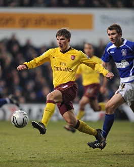 Andrey Arshavin (Arsenal) Gareth McAuley (Ipswich). Ipswich Town 1:0 Arsenal Andrey Arshavin (Arsenal) Gareth McAuley (Ipswich). Ipswich Town 1:0 Arsenal