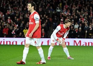Images Dated 25th January 2011: Andrey Arshavin and Cesc Fabregas (Arsenal). Arsenal 3: 0 Ipswich Town. Carling Cup