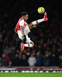 Arsenal FC v Newcastle United - Premier League Arsenal FC v Newcastle United - Premier League