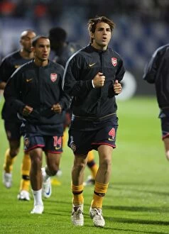 Images Dated 17th September 2008: Cesc Fabregas (Arsenal)
