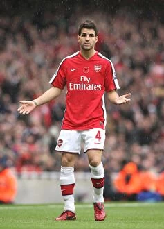 Images Dated 8th November 2008: Cesc Fabregas (Arsenal)