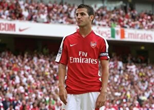 Images Dated 22nd August 2009: Cesc Fabregas (Arsenal)
